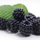Жидкость  Ежевика (Blackberry Flavor)